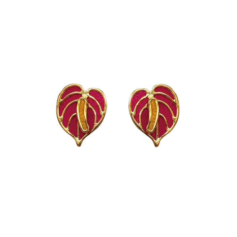 Mini Anthurium Pink Studs
