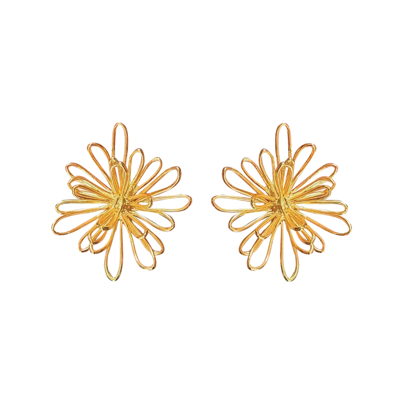 Aretes Inirida