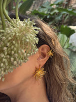 Aretes Inirida
