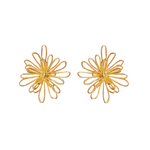 Aretes Inirida
